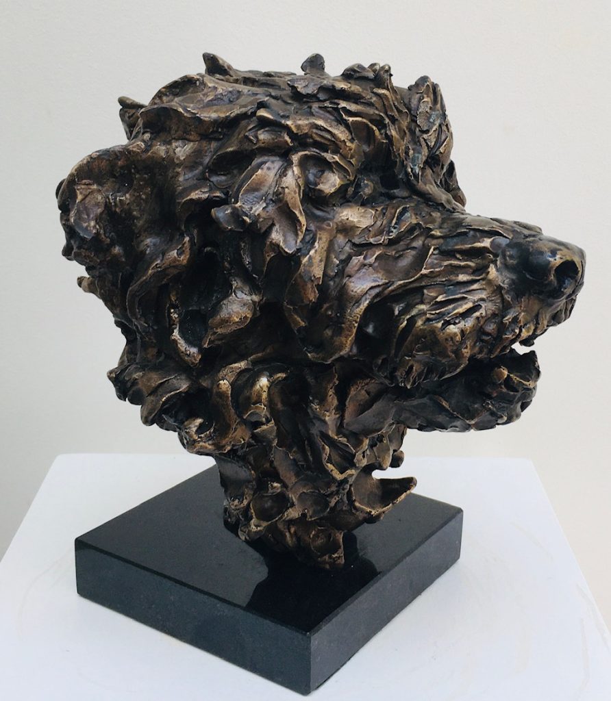 Labradoodle